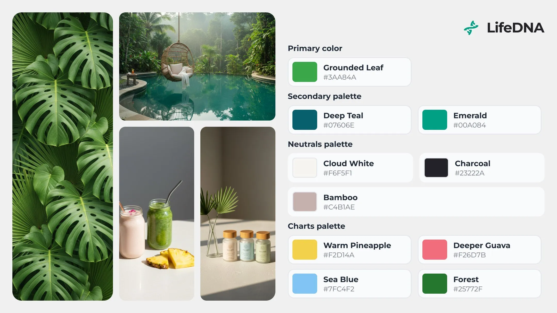 The LifeDNA identity system: palette, photography and mark