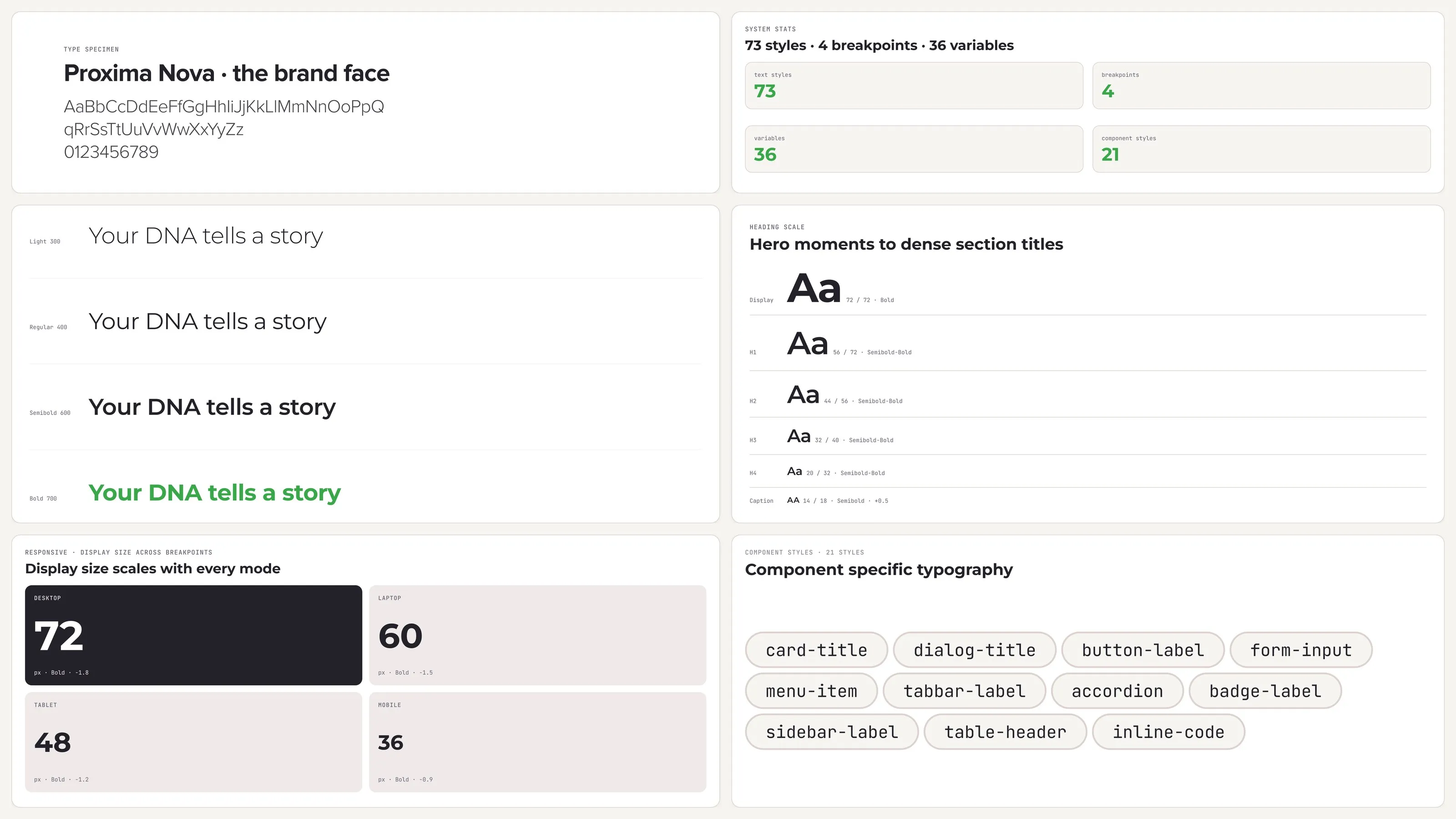 Typography system: the Proxima Nova specimen, heading scale, responsive display sizes and component typography